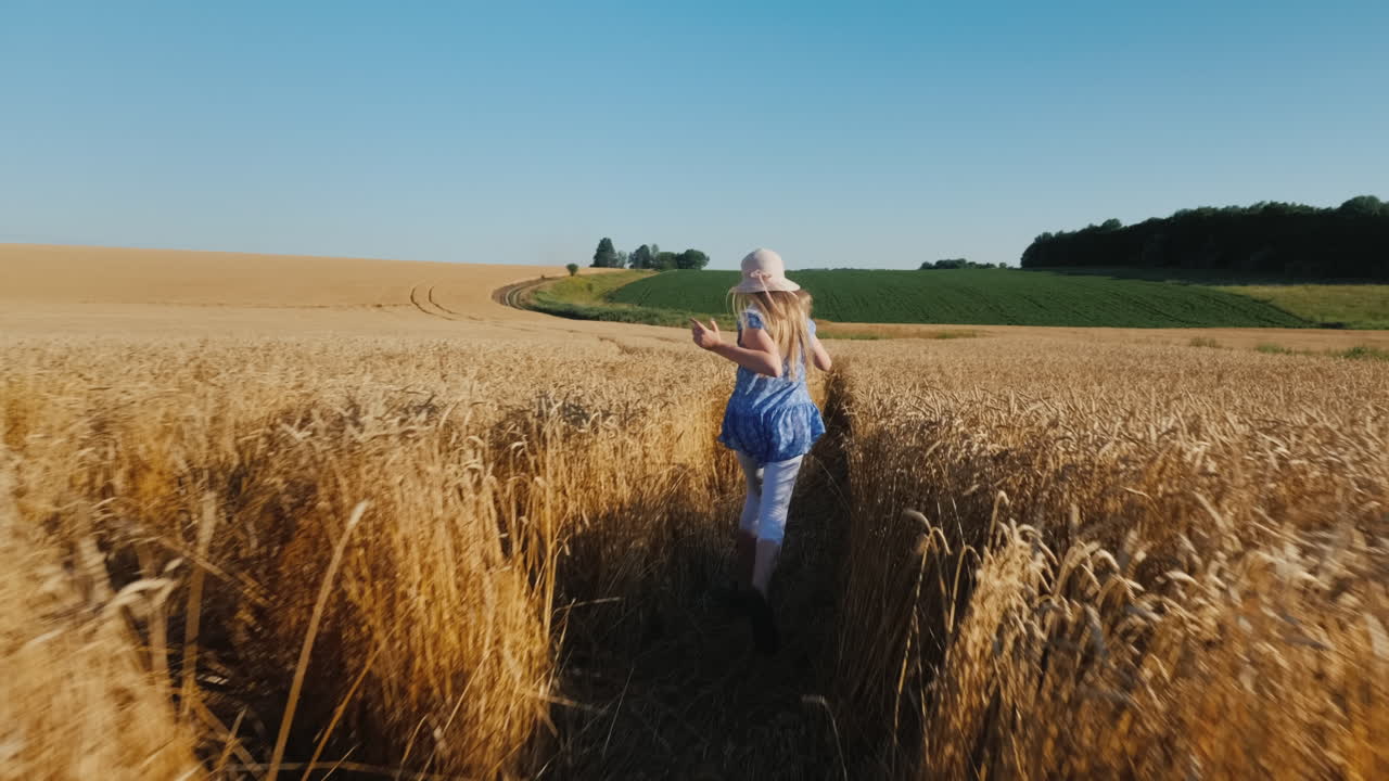 Vídeo Premium Niña feliz corre por el campo de trigo y el viento se