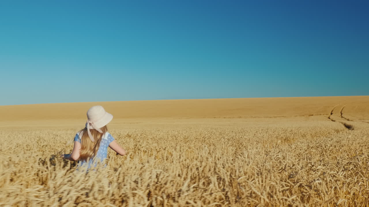 Premium stock video Carefree girl runs in a wheat field 1