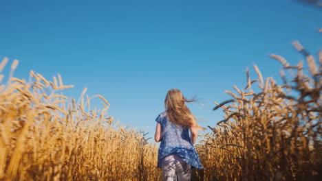 Carefree-girl-runs-on-a-wheat-field