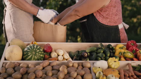 Farmer-puts-vegetables-customer's-bag-at-farmers-market