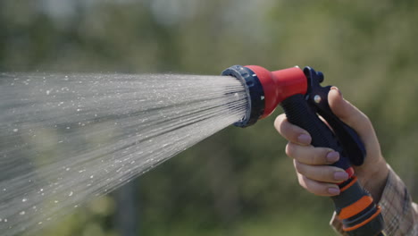 La-Mano-Del-Jardinero-Rocía-Una-Manguera-De-Jardín-Con-Un-Difusor-1
