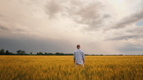 Farmer-In-A-Field-Of-Wheat-Against-The-Background-Of-A-Stormy-Sky
