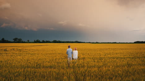 Two-Farmers-Stand-In-A-Field-Of-Wheat-Against-A-Stormy-Sky-3