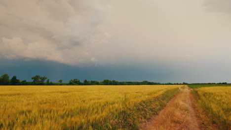 Road-To-The-Field-Of-Wheat-Against-The-Background-Of-A-Dramatic-Storm-Sky-2