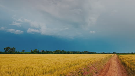 Scenic-Road-In-A-Field-Of-Wheat-Against-The-Background-Of-Storm-Clouds-And-Lightning