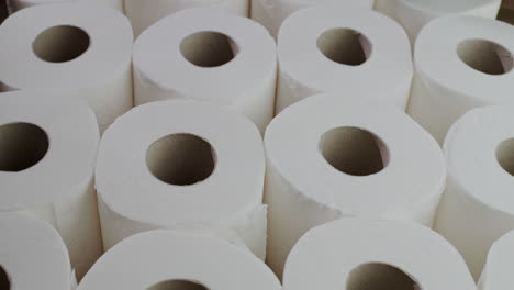 Lots-of-toilet-paper-rolls