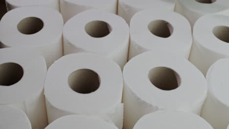 Lots-of-toilet-paper-rolls-1