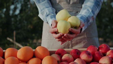 Farmer's-hands-with-white-juicy-apples
