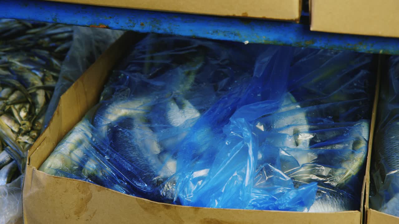 Premium stock video Boxes of frozen fish are stored in stock