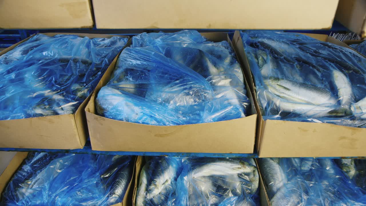 Premium stock video Boxes of frozen fish are stored in stock 1