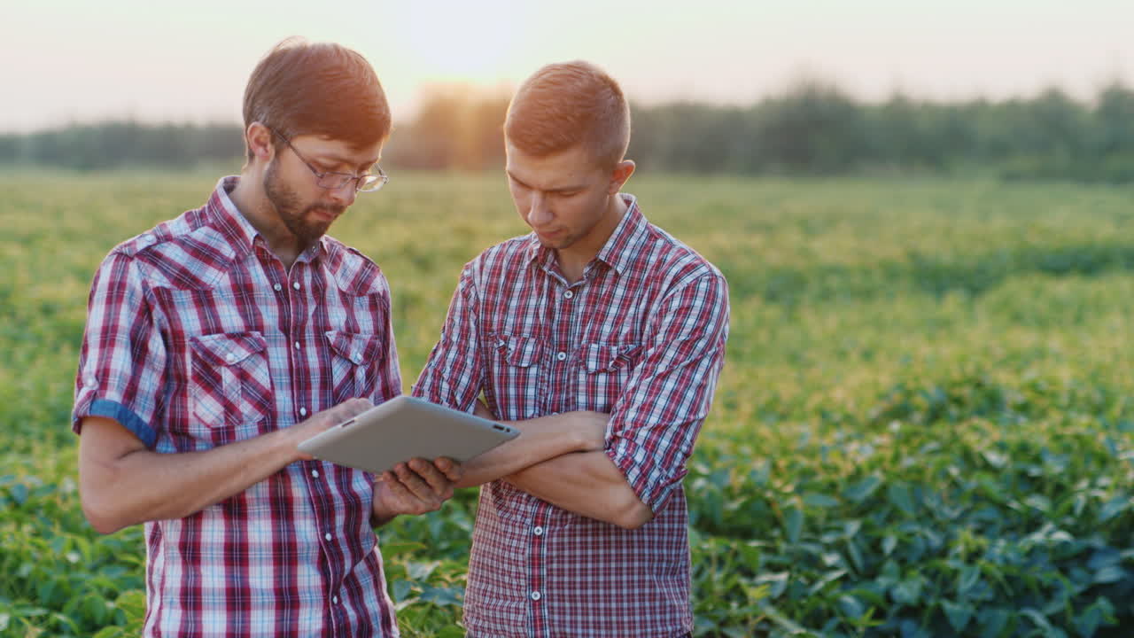 Premium stock video - Two young farmers work in the field studying the ...