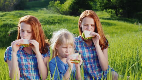 Hermanas-Están-Comiendo-Sándwiches-En-Un-Prado-Verde