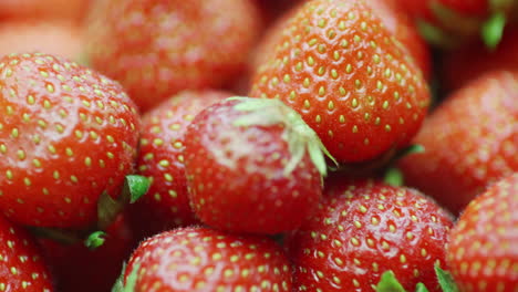 Red-Juicy-Strawberries-Spinning-1