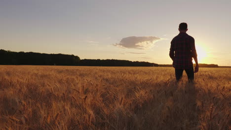 A-Teenage-Boy-Walks-The-Wheat-Field-At-Sunset