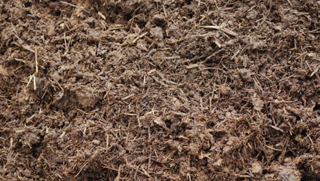 Organic-Fertilizer---Compost-Or-Humus-1